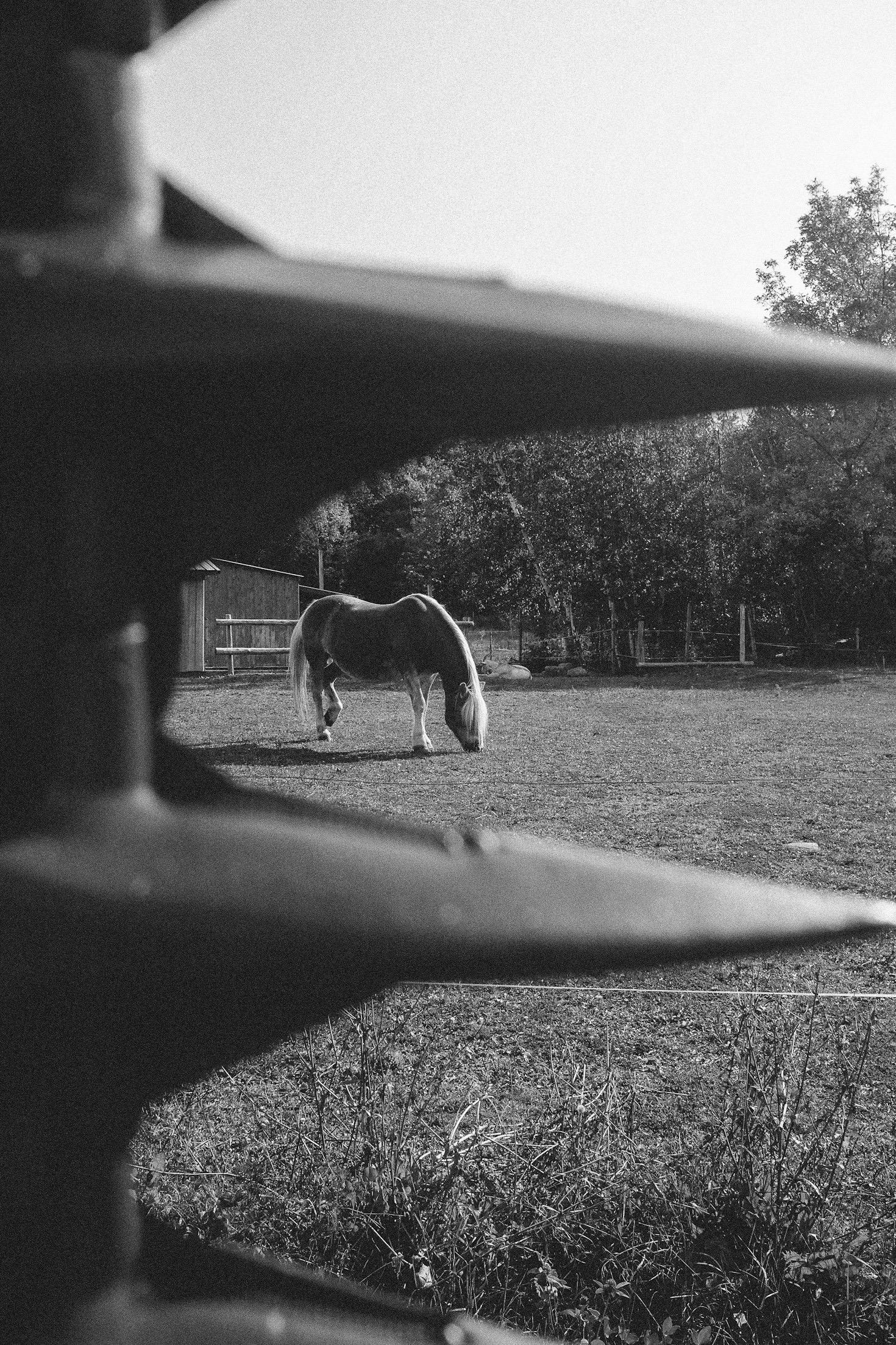 arena surfaces peterborough