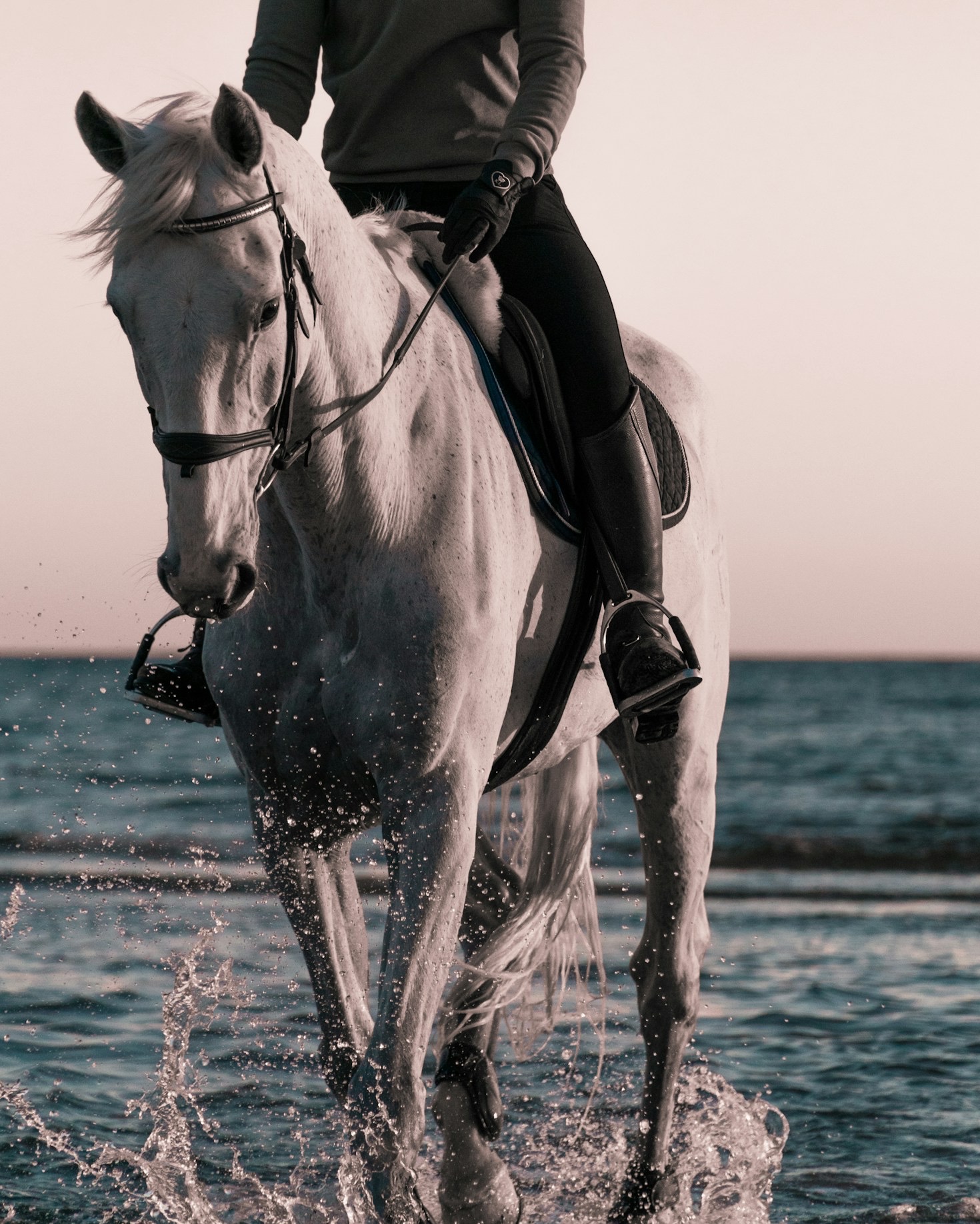 The Role of Fibre Technology in Modern Equestrian Surfaces