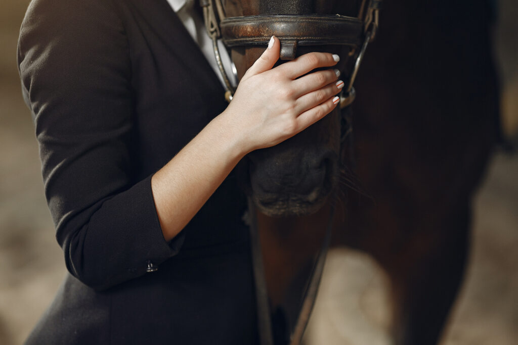 arena surfaces for sale